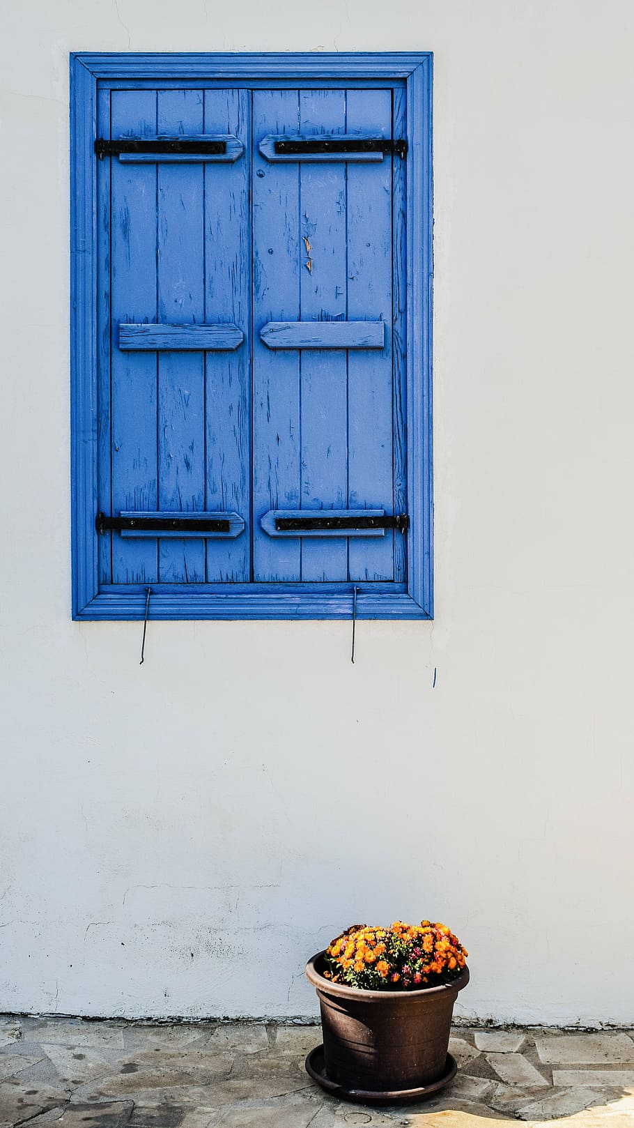 window, wooden, old, architecture, traditional, blue, flower pot HD wallpaper