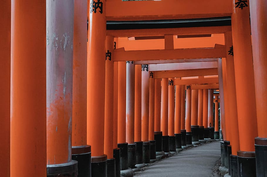 red tori gate during daytime, Torii Gate, building, architecture HD wallpaper