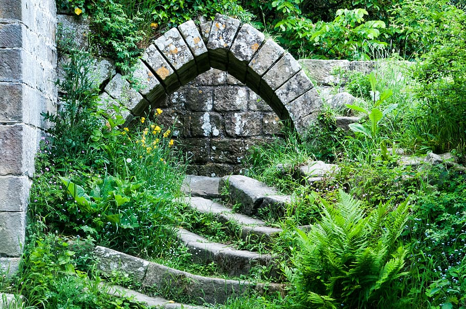 ruin castle photography, abbey, steps, riveaux, garden, architecture HD wallpaper