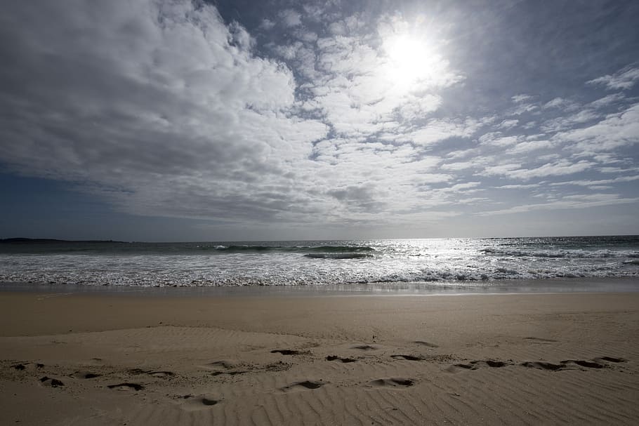 beach, tracks, print, sand, sea, landscape, nature, sunny beach HD wallpaper