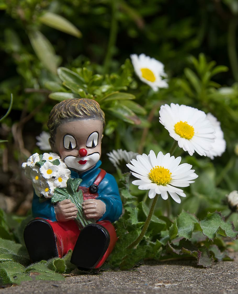 clown, daisy, figure, flower, flowering plant, childhood, fragility HD wallpaper