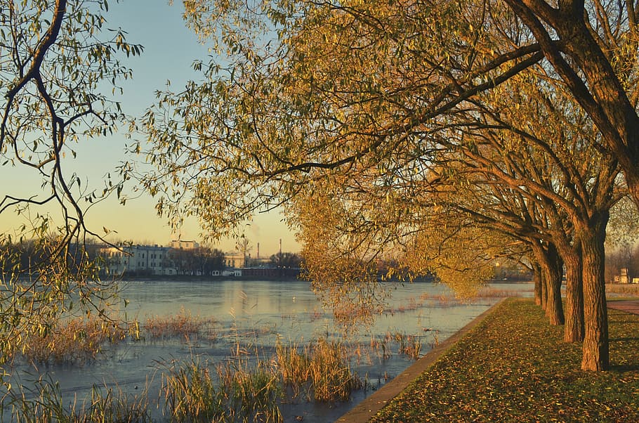 autumn, river, trees, landscape, nature, quiet river, russia HD wallpaper