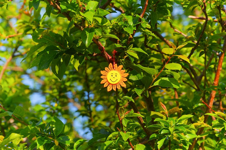 summer, spring, sun, bulgaria, joy, tree, living nature, martenitsa HD wallpaper