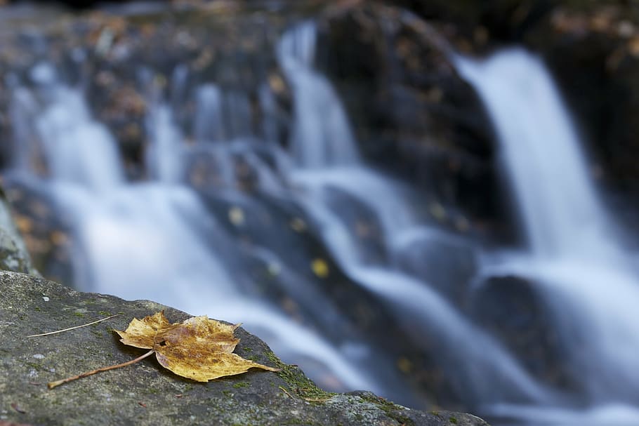 leaf, waterfall, autumn, landscape, environment, colored, blurred HD wallpaper