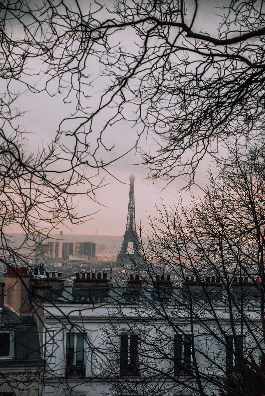 Eiffel Tower, Paris photo, Eiffel Tower, Paris, tree, france HD wallpaper