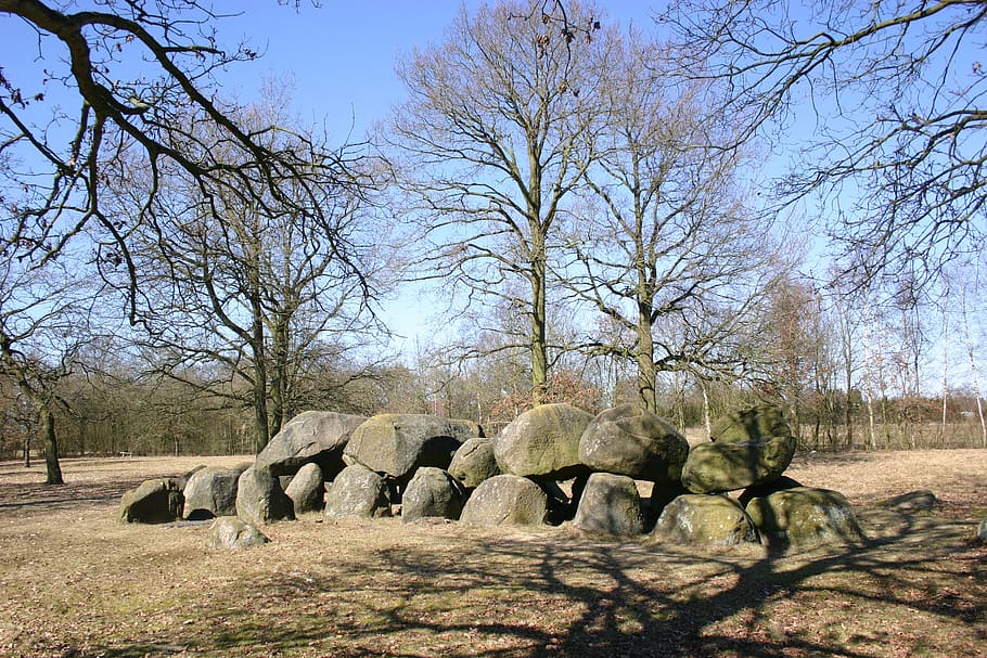 dolmen, prehistory, tree, plant, bare tree, nature, sky, day