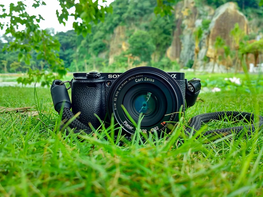 camera, field, grass, lens, photography, sony, camera - Photographic Equipment HD wallpaper