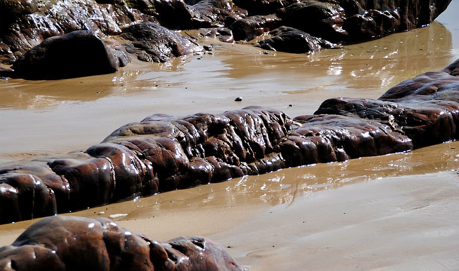 brown rock on mud, stones, cliffs, brittany, atlantic, coast HD wallpaper