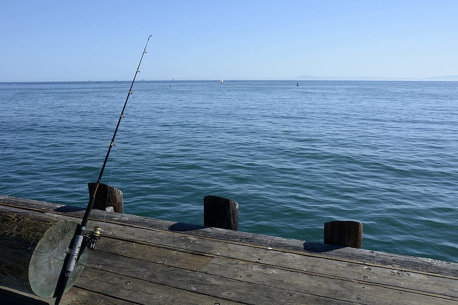 black and brown fishing rod with reel on dock, fishing reel, hobby, HD wallpaper