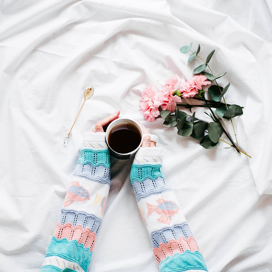 person holding mug, person holding teacup beside pink petal flower HD wallpaper