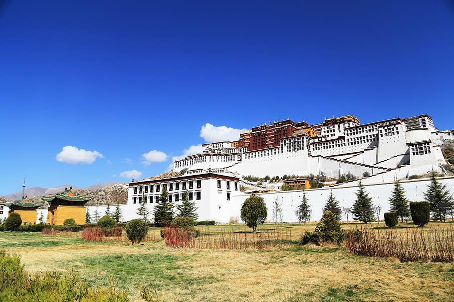 the potala palace, lhasa, tibet, blue sky, the majestic, the solemn, HD wallpaper