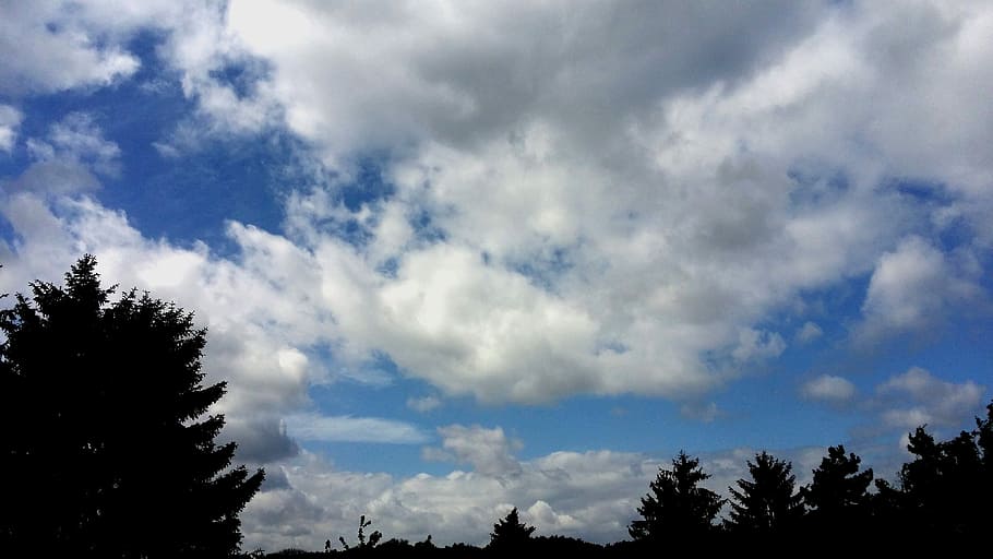 Nature, Form, Dark Clouds, clouds form, sky, landscape, tree HD wallpaper