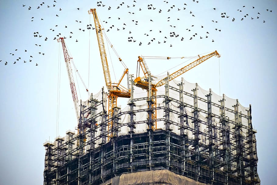 gray scaffiolding with tower cranes and birds, building, construction
