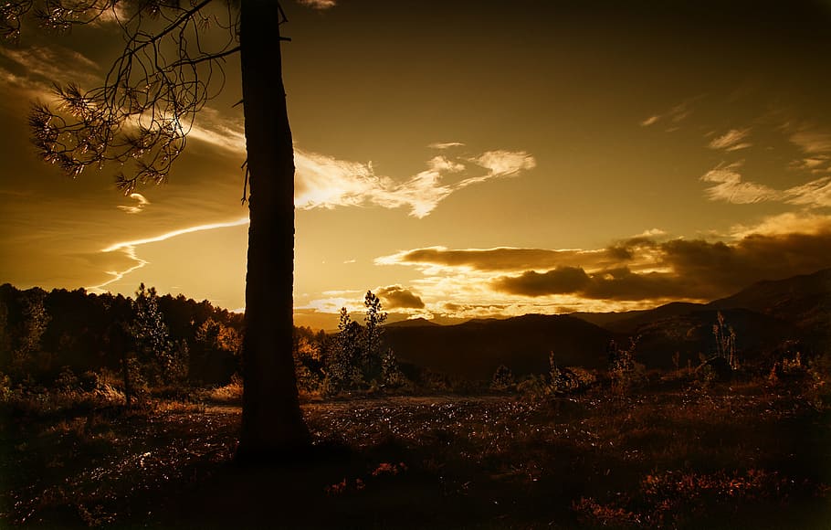 sunset, dawn, panoramic, twilight, evening, nature, landscape HD wallpaper