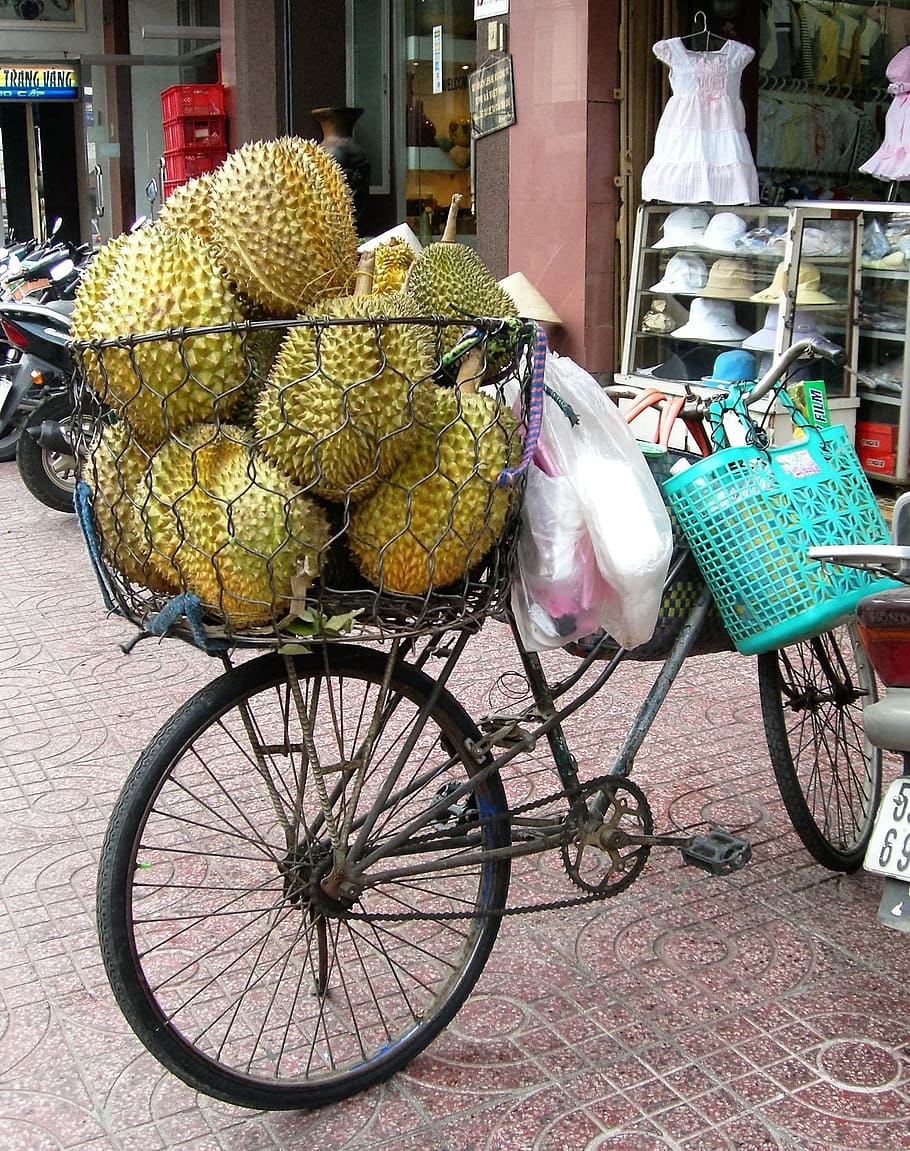 fruit, jackfruit, bicycle, bicycle basket, viet nam, transportation HD wallpaper