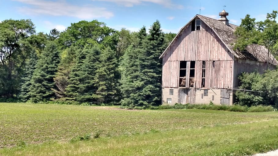 barn, old, antique, plant, tree, architecture, built structure HD wallpaper