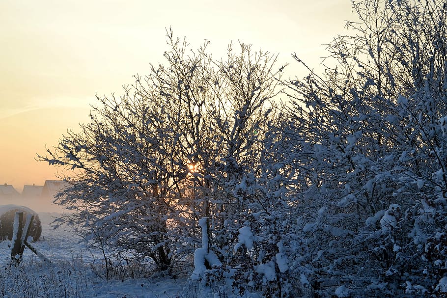 winter, cold, snow, wintry, winter cold, schneeflaeche, frost HD wallpaper