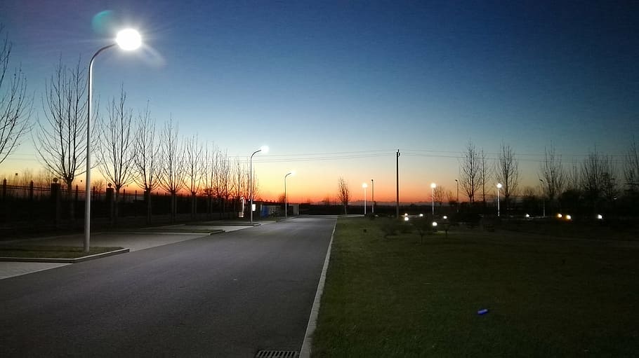 asphalt, dark, dawn, dusk, energy, evening, grass, lampposts HD wallpaper
