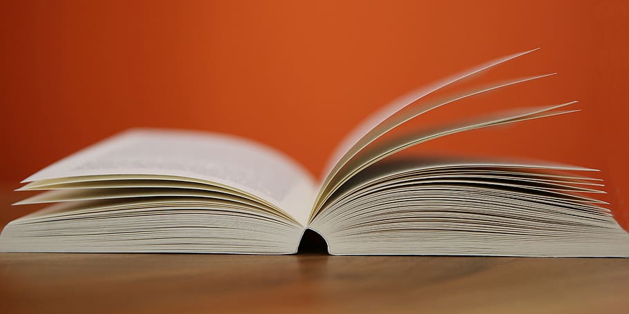 photo of open paged book, pages, library, books, know, reading HD wallpaper