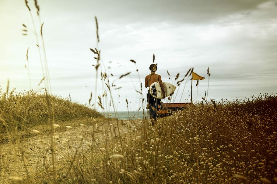 SURF DAYS, man carrying white surfboard during daytime, grass HD wallpaper