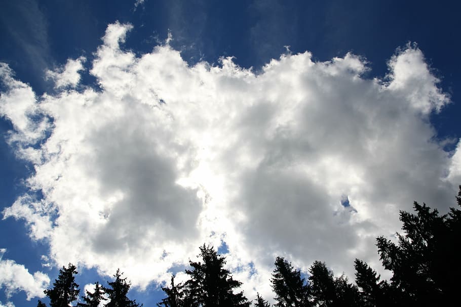 sky, clouds, trees, nature, outside, beautiful, silhouette HD wallpaper
