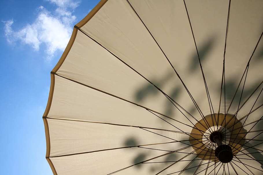 parasol, screen, sun, summer, shade tree, sunlight, stretched HD wallpaper