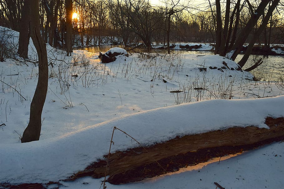 snow, park, sunset, light, shadows, winter, cold, trees, nature HD wallpaper