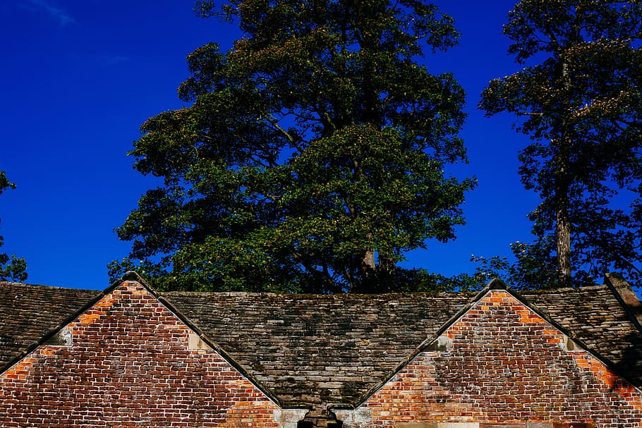 mill, bricks, roof, trees, blue, sky, architecture, built structure HD wallpaper