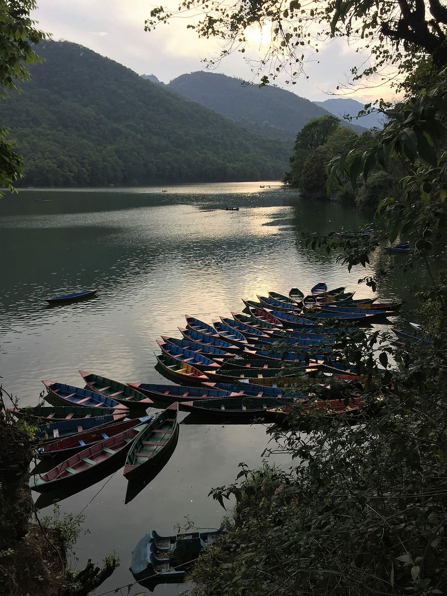 canoes on body of water surrounded by trees, travel, lake, nature