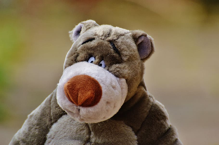 selective focus photography of brown bear plush toy, soft toy, HD wallpaper