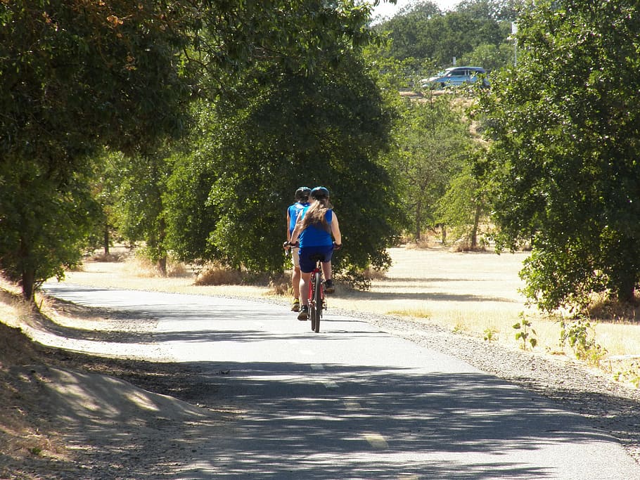 path, pathway, journey, outdoor, tree, pavement, bicycle, cycling HD wallpaper