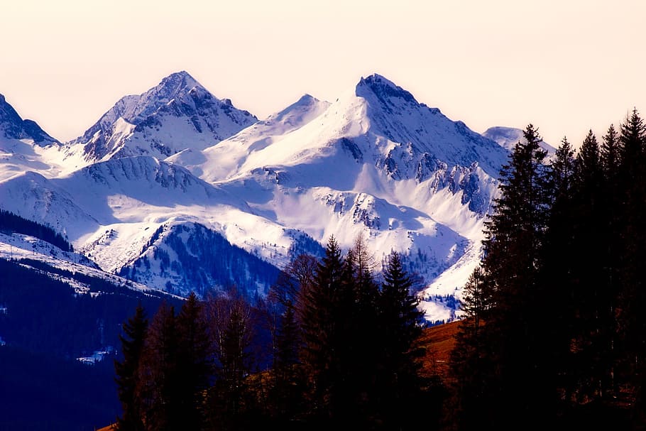 austria, mountains, snow, winter, peaks, alps, forest, trees HD wallpaper
