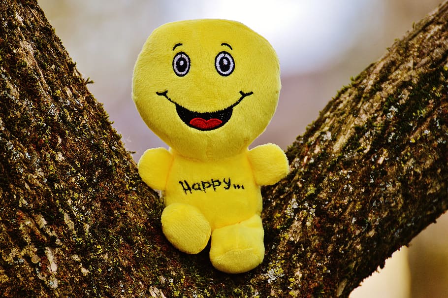 smiley emoji plush toy on tree trunk taken during daytime, happy
