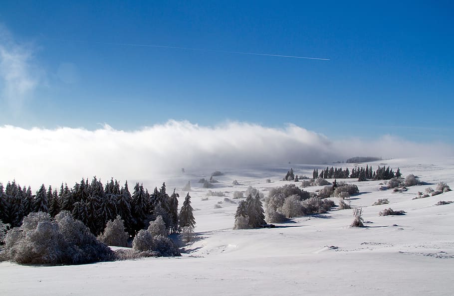 Winter, Snow, Wintry, hochrhoen, wasserkuppe, rhön winter HD wallpaper