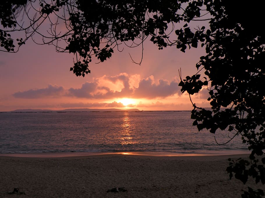 beach, sea, sunset, sky, clouds, costa, ocean, coastal, tree HD wallpaper
