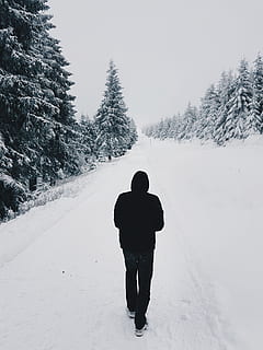 Person Wearing Black Hoodie While Walking on Snow Covered Road Near Pine Trees HD wallpaper
