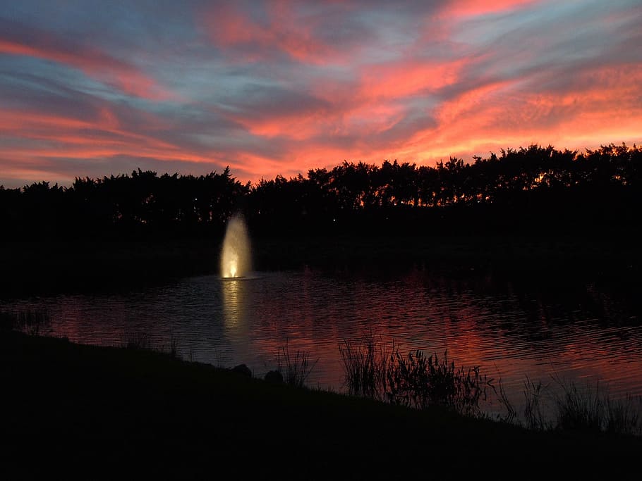 sunset, evening sky, clouds, water, cloud - sky, tree, plant HD wallpaper