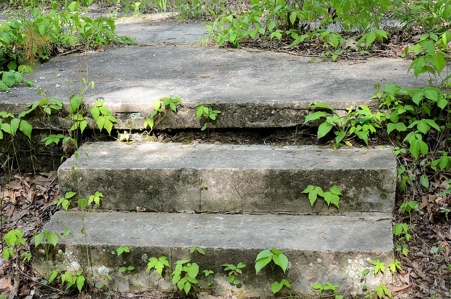 Nature, Steps, Outdoor, summer, green, stone, travel, spring HD wallpaper