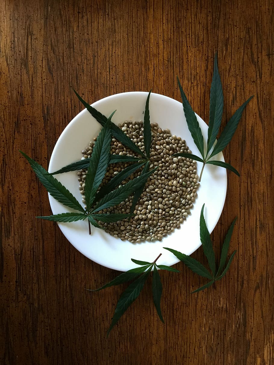 Hemp seed 1080P, 2K, 4K, 5K HD wallpapers free download - Wallpaper Flare