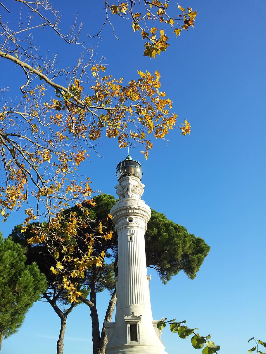 rome, lighthouse, gianicolo, sky, tree, plant, clear sky, blue HD wallpaper
