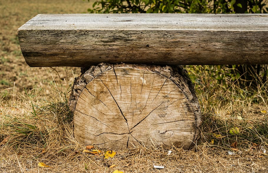 brown tree log bench, wooden, strain, session, sit, texture, autumn, HD wallpaper