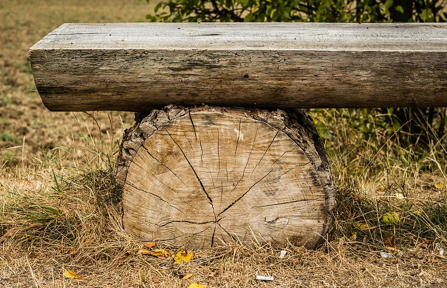 brown tree log bench, wooden, strain, session, sit, texture, autumn