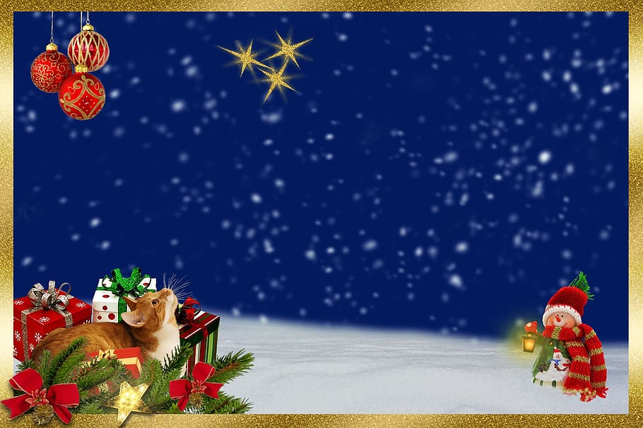 christmas decor illustration, cat, tannenzweig, grinding, star, HD wallpaper
