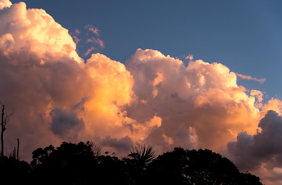 clouds, cloudscape, weather, grey, white, pink, billowing, horizon HD wallpaper