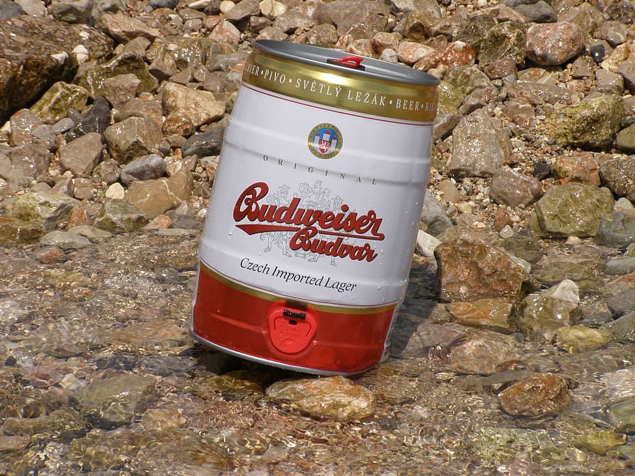 beer, budvar, alcohol, barrel, text, western script, communication HD wallpaper