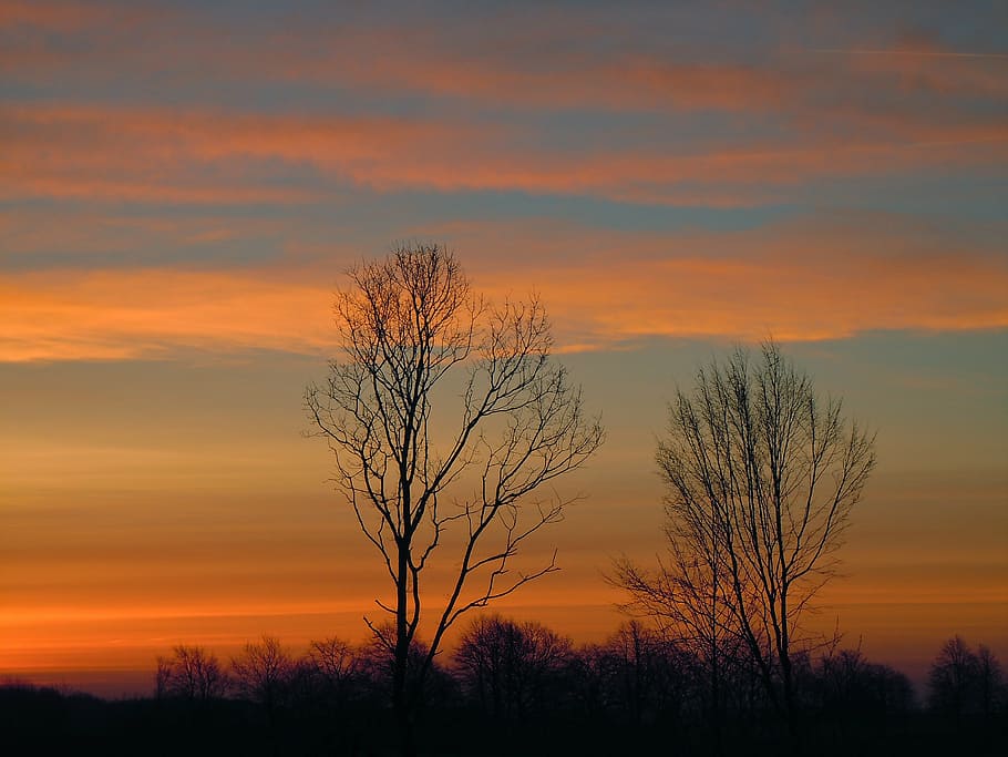 skies, landscape, clouds, trees, silhouette, sunset, orange color HD wallpaper