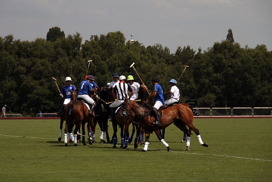 Polo, Players, Match, Sport, Competition, equestrian, professional, HD wallpaper