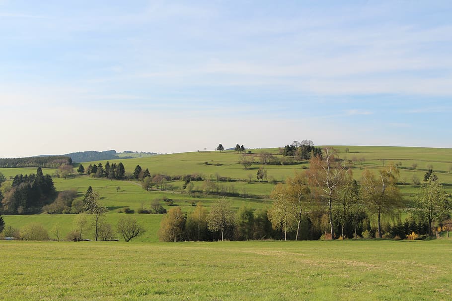 meadow, sky, nature, landscape, environment, plant, scenics - nature HD wallpaper