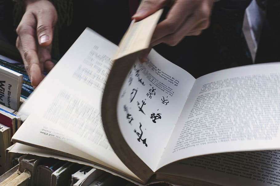 person holding book, person opening white book pages, reading HD wallpaper