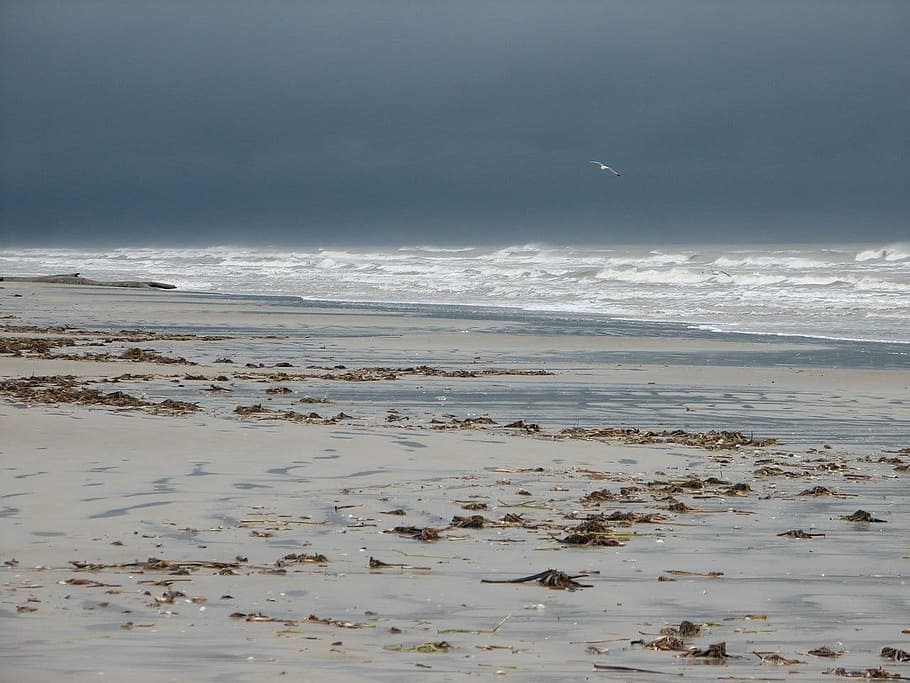 Weather, Waves, Shore, Sand, storm, sky, rocks, beach, gulf HD wallpaper